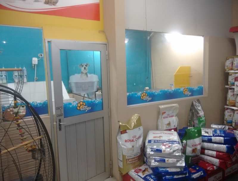 Onde Encontrar Serviço de Banho em Pet Shop Lauzane Paulista - Banho e Tosa Gato