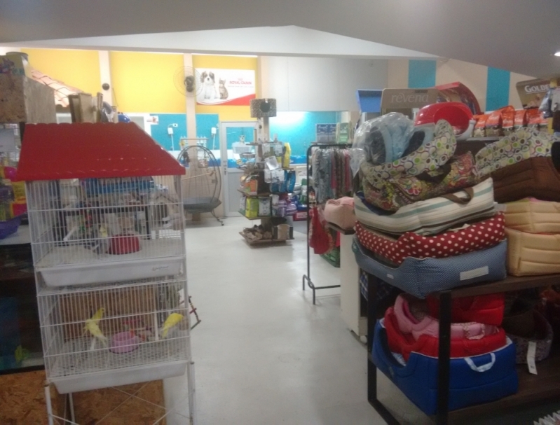 Onde Encontro Pet Shop para Porquinho da índia Vila Guilherme - Loja de Pet Shop