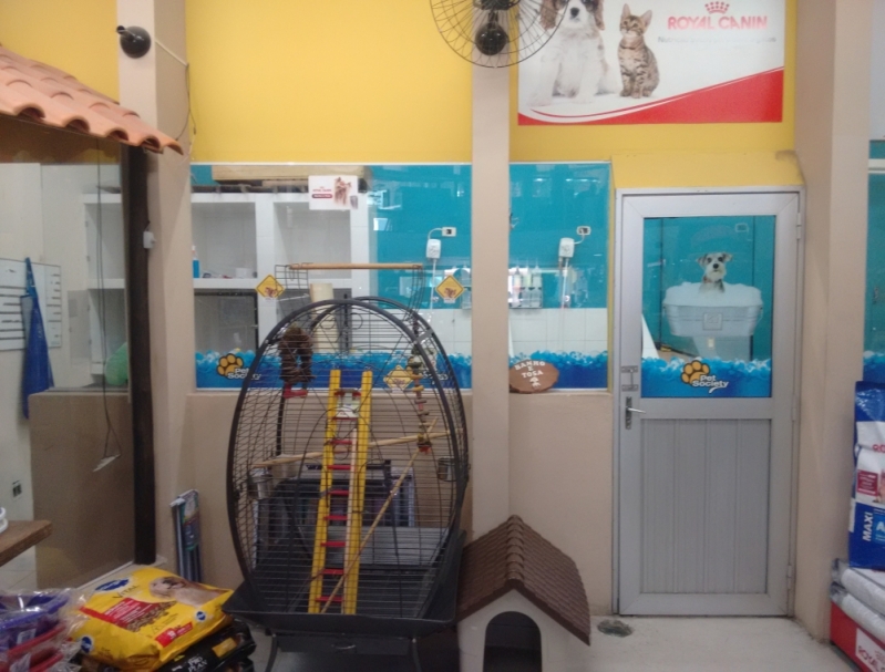 Pet Shop Banho e Tosa Onde Posso Encontrar 61787 Jaçanã - Banho e Tosa na Zona Norte