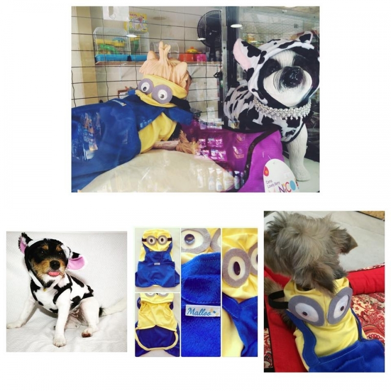 Pet Shop para Animais Exóticos Preço Cachoeirinha - Pet Shop para Pássaros