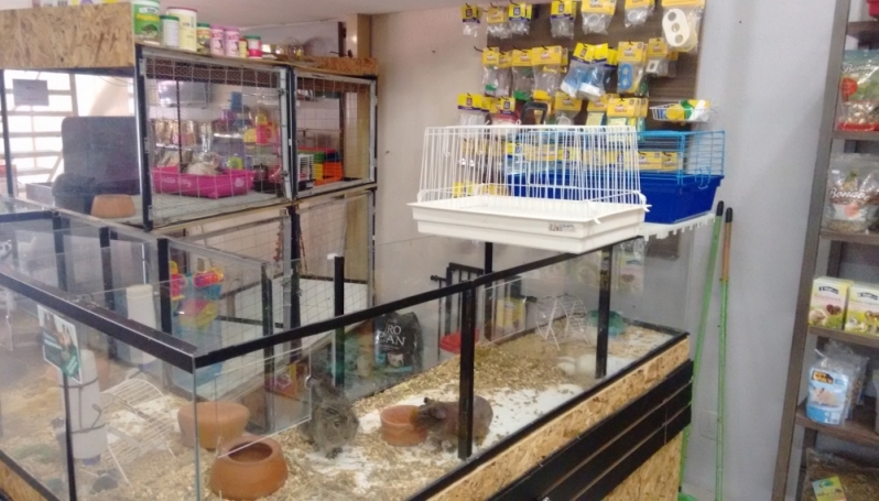 Pet Shop para Animais Silvestres Preço Vila Maria - Pet Shop para Hamster