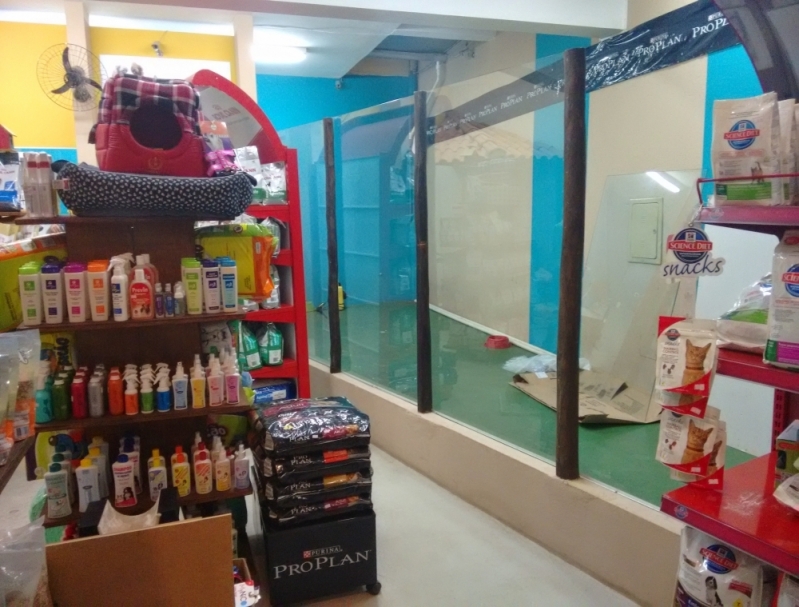 Pet Shop para Cachorros Quanto Custa Lauzane Paulista - Pet Shop para Dar Banho