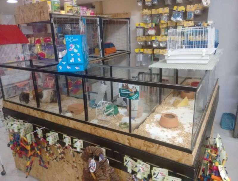 Pet Shop para Porquinho da índia Preço Imirim - Pet Shop para Pássaros