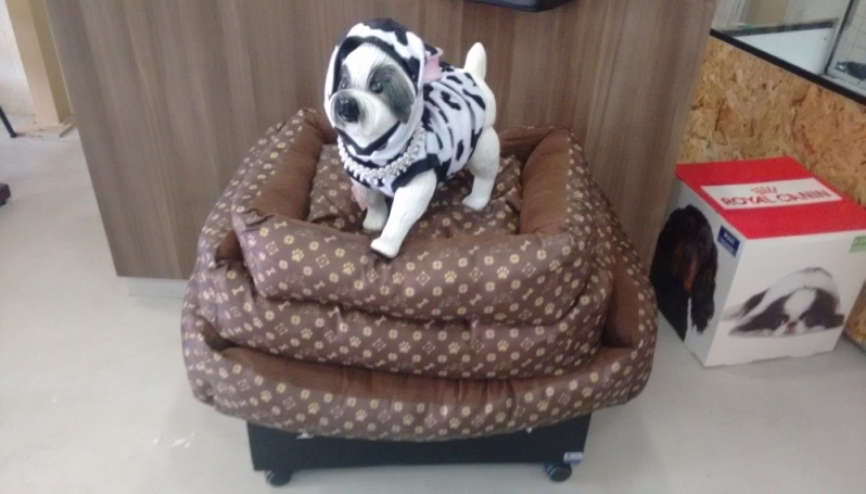 Serviço de Pet Shop Confiável Preço Vila Guilherme - Pet Shop para Coelhos