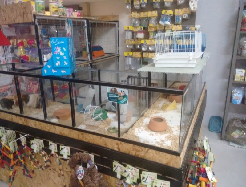 Serviço de Pet Shop para Aves Quanto Custa Vila Gustavo - Pet Shop para Hamster