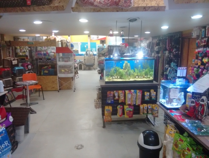 Serviço de Pet Shop para Gatos e Cachorros Preço Lauzane Paulista - Pet Shop para Pássaros