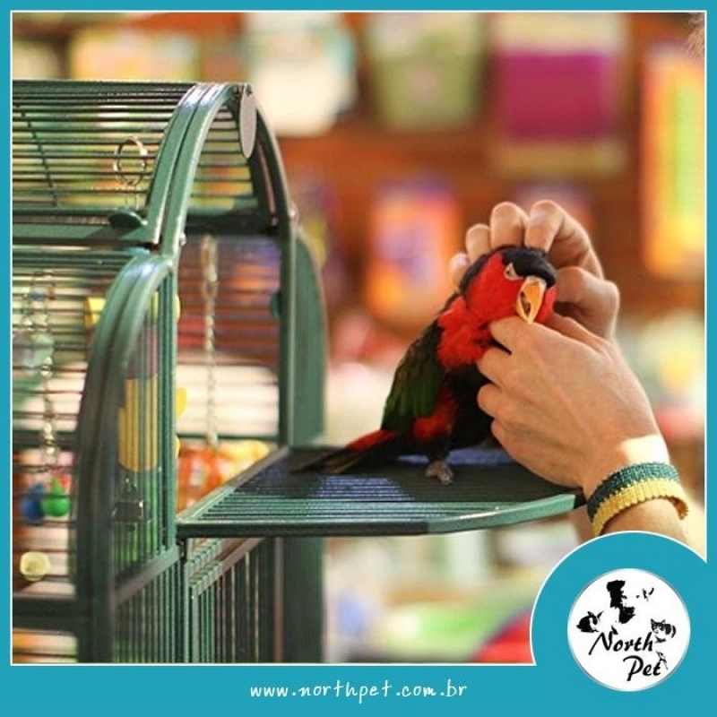 Serviço de Pets Shop para Animais Exóticos Quanto Custa Cachoeirinha - Pet Shop para Pássaros
