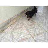 Hotelzinho Cães onde encontrar 79812 Cachoeirinha