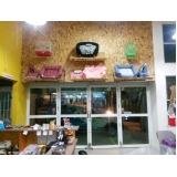 onde encontro pet shop para hamster Jardim São Paulo