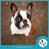Pet Shop para Cachorros onde achar 24636 Jardim São Paulo