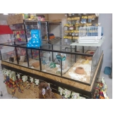 pet shop para porquinho da índia preço Mandaqui