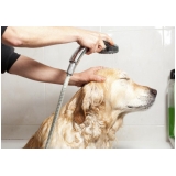 Qual valor de um Pet Shop Banho e Tosa 86404 Tucuruvi