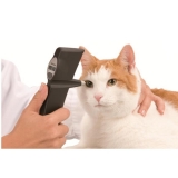 quanto custa veterinário especializado em gatos Cachoeirinha