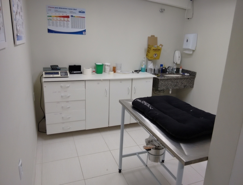 Veterinário Especialista em Hamster Sírio Vila Medeiros - Veterinário Especialista em Hamster Sírio